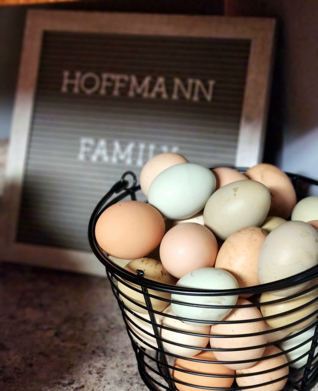 How we became small town&nbsp;homesteaders