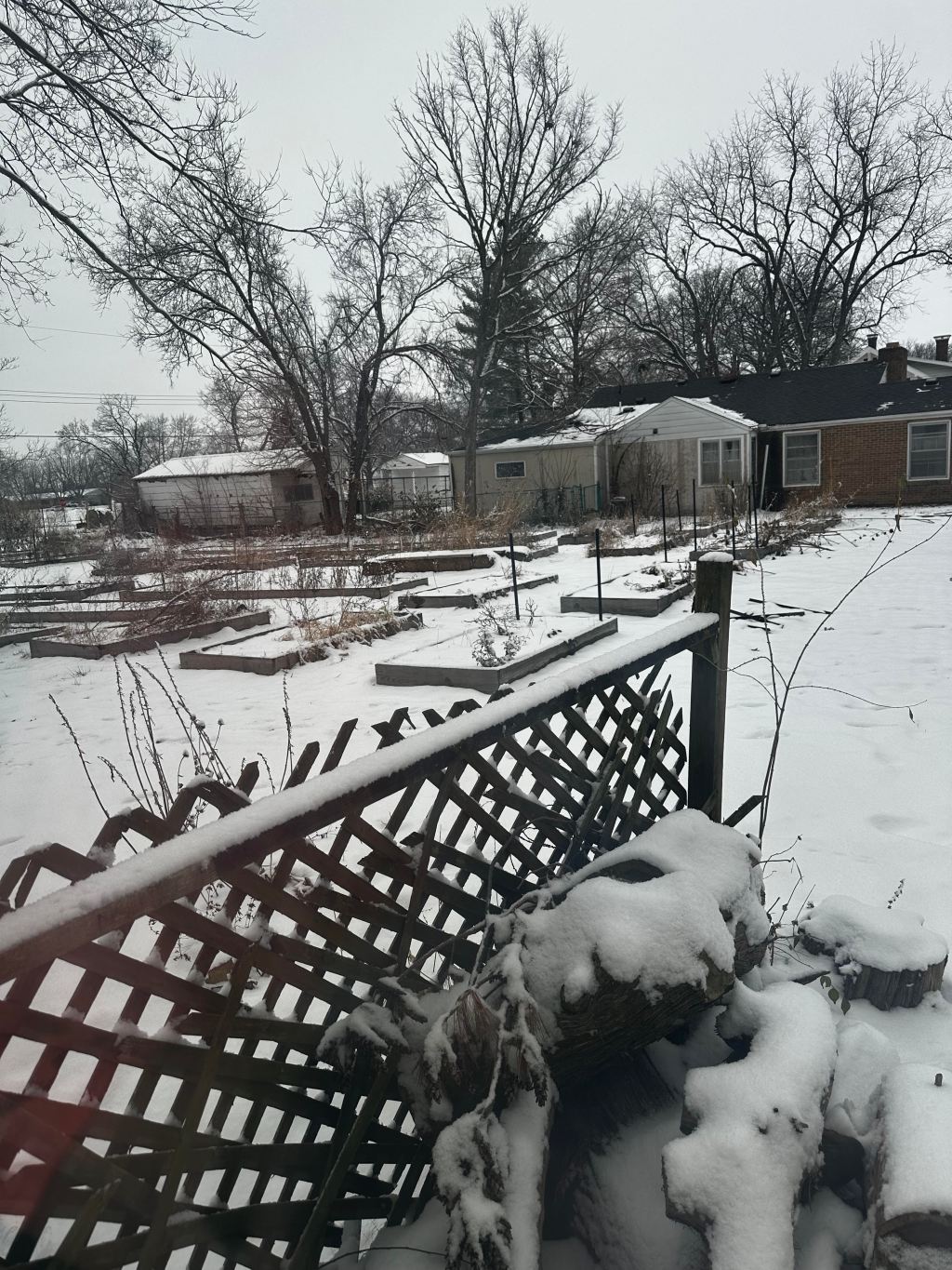 Surviving the Winter After the Garden is Already Dead